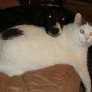 Meet your Posher, Laurie